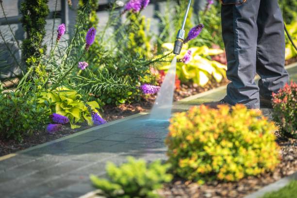 Best Driveway Cleaning and Restoration in Booker, TX